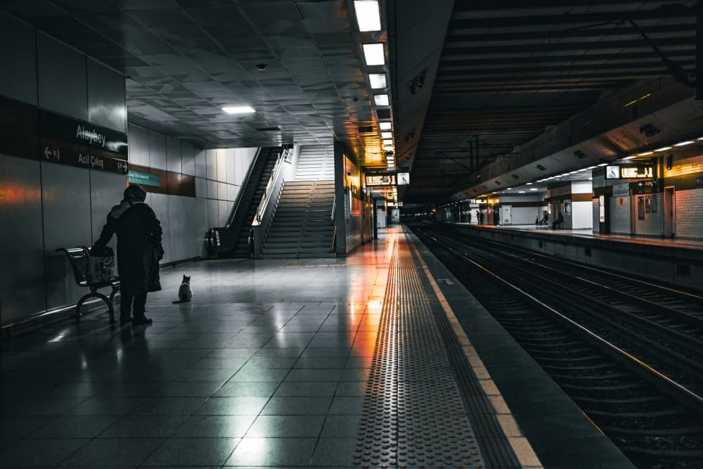 Subway Cat Reflection by Ali Ayer — canvas wall art