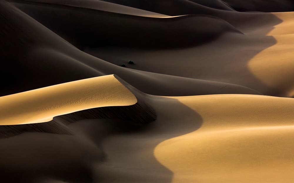 Golden Desert Dunes by Mohammadreza Momeni — canvas wall art