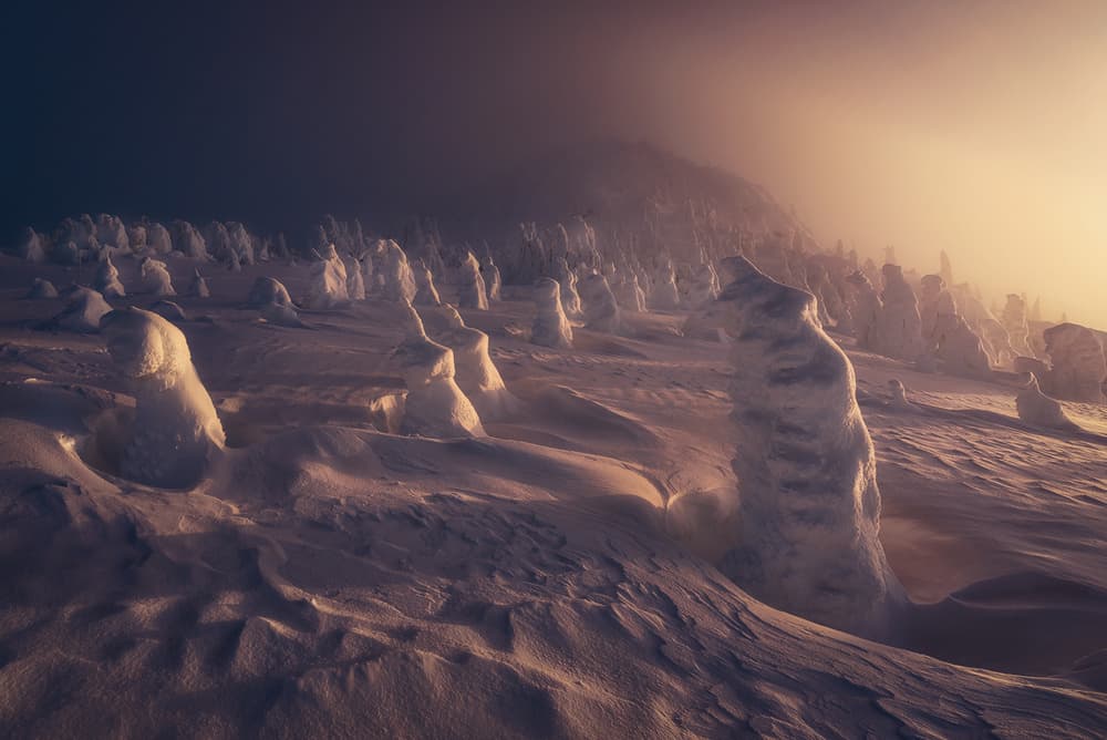 Golden Hour Snow Monsters by Marian Kuric QEP — canvas wall art