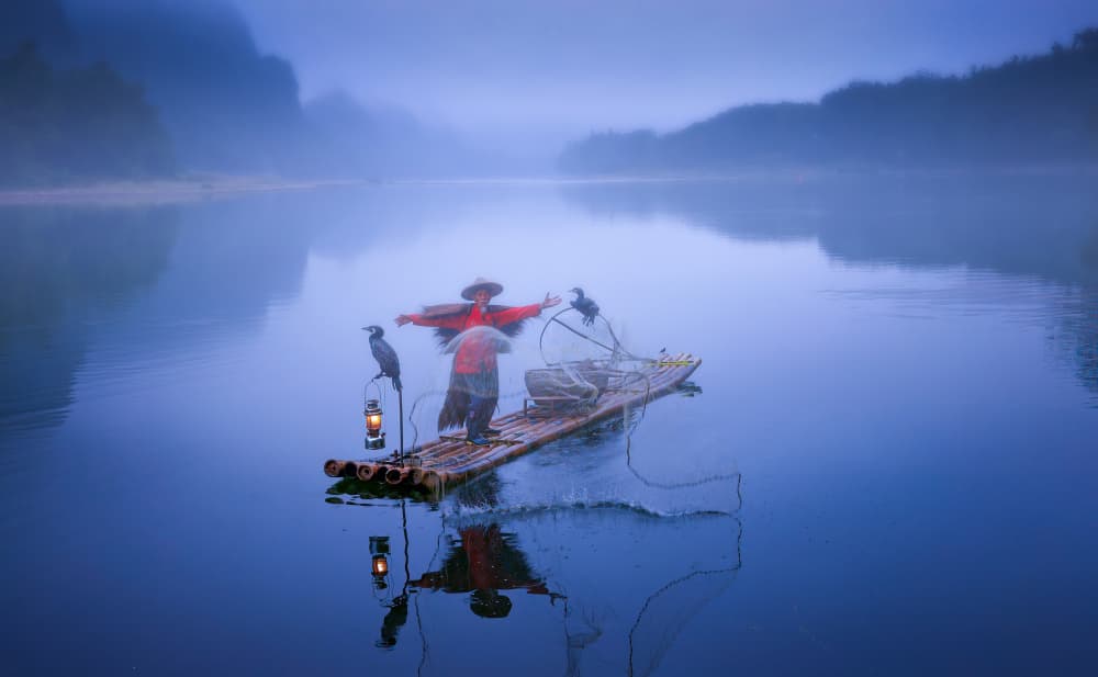 Misty Cormorant Fishing by Dennis Zhang — canvas wall art