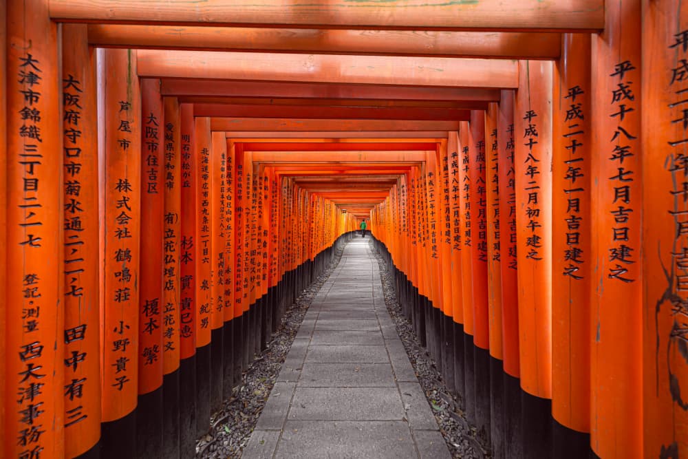 Kyoto Torii Tunnel by Marco Tagliarino — canvas wall art