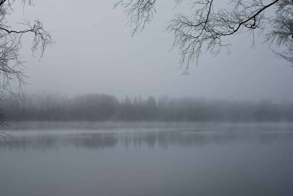 Misty Lake Branches by Geertjan Plooijer — canvas wall art