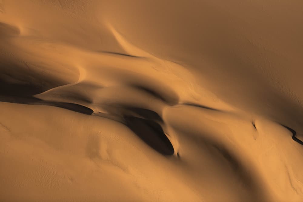 Golden Dune Curves by Johan Enslin — canvas wall art