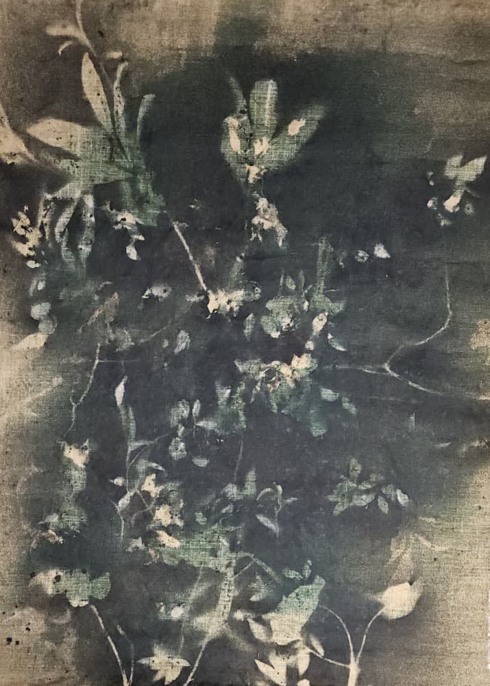 Vintage Botanical Shadows by Stefano Mazzolini — canvas wall art