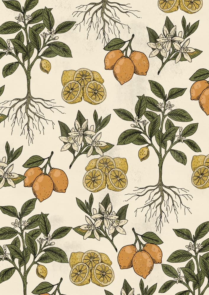 Vintage Lemon Botanical Pattern by Nicholas — canvas wall art
