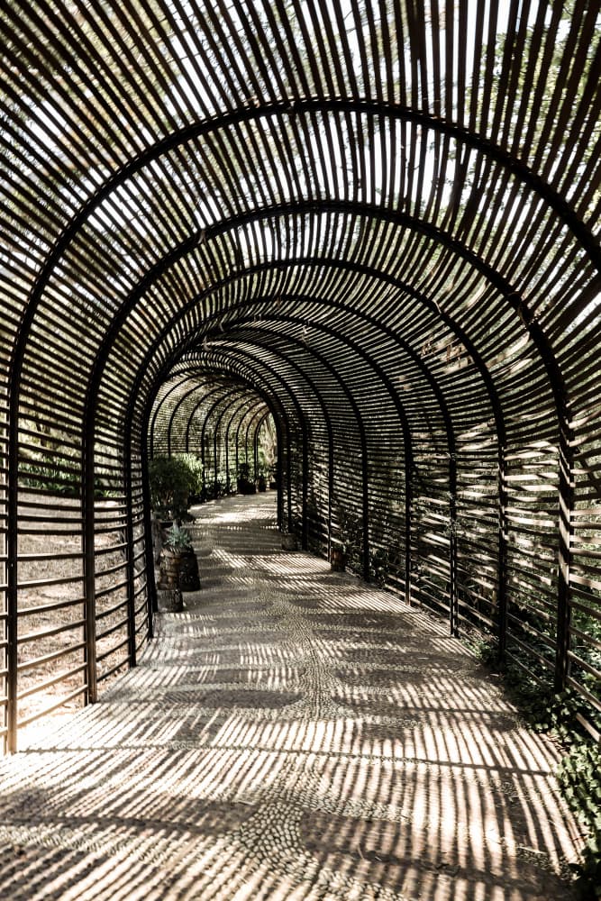 Shadow Garden by Shot by Clint — canvas wall art