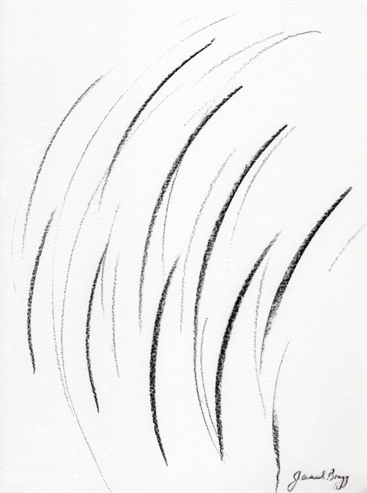 Flowing Black Curves by Janel Bragg — canvas wall art