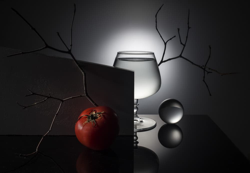 Dark Still Life Reflection by Evgeniy Popov — canvas wall art
