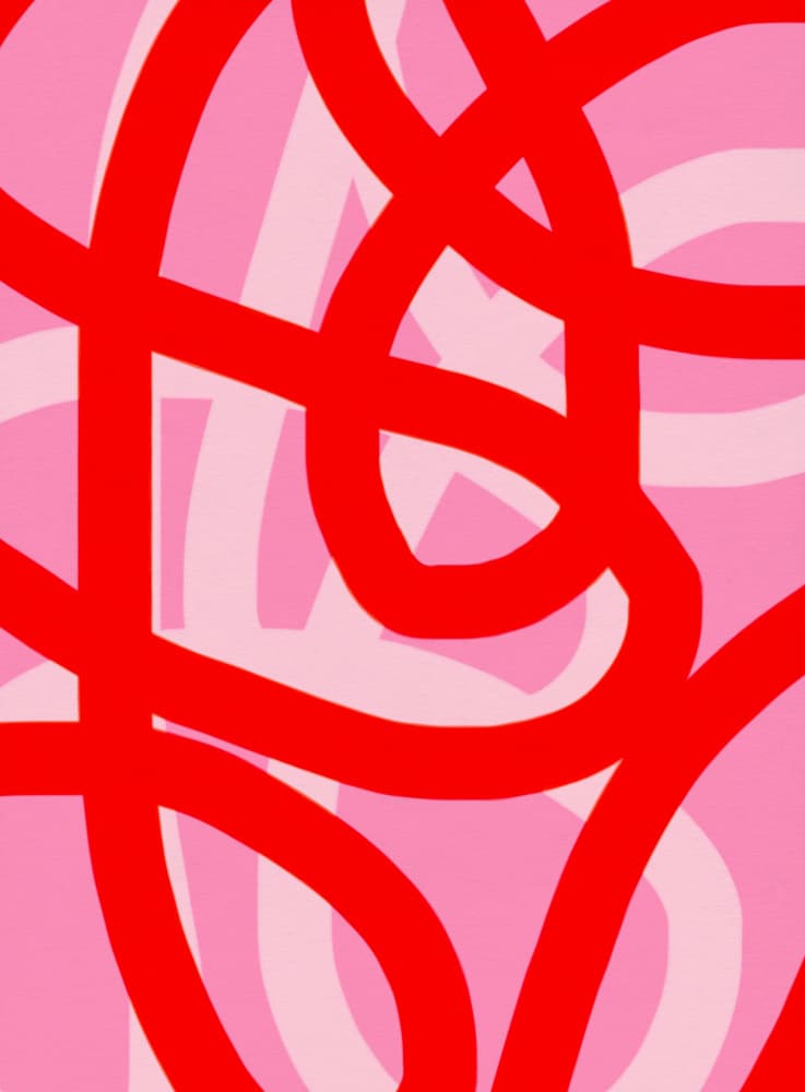 Dynamic Red Pink Curves by Studio Memb — canvas wall art