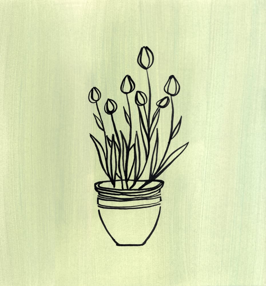 Minimalist Tulip Pot by Shelley Hampe — canvas wall art