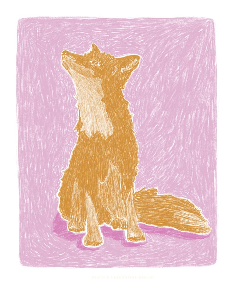 Pandc Littlefox Copy by Jenny Liz Rome — canvas wall art