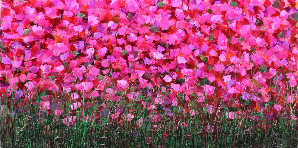 Vibrant Pink Blooms by Donatella Marraoni — canvas wall art