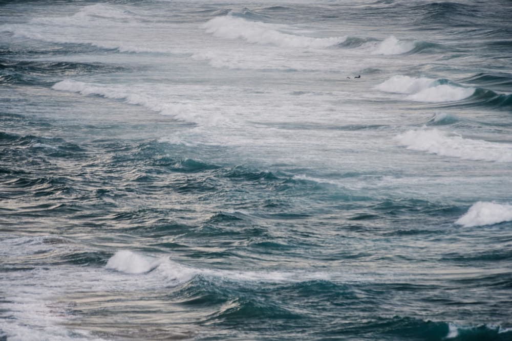 Rolling Ocean Waves by Tal Paz-Fridman — canvas wall art