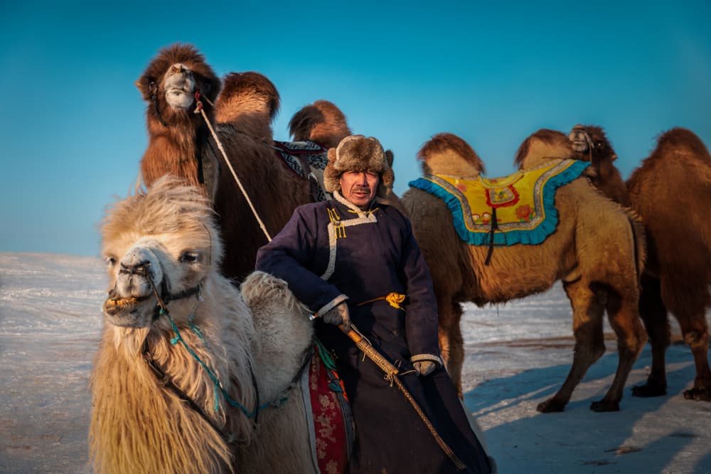 Mongolian Herder and Camels by Irene Wu — canvas wall art