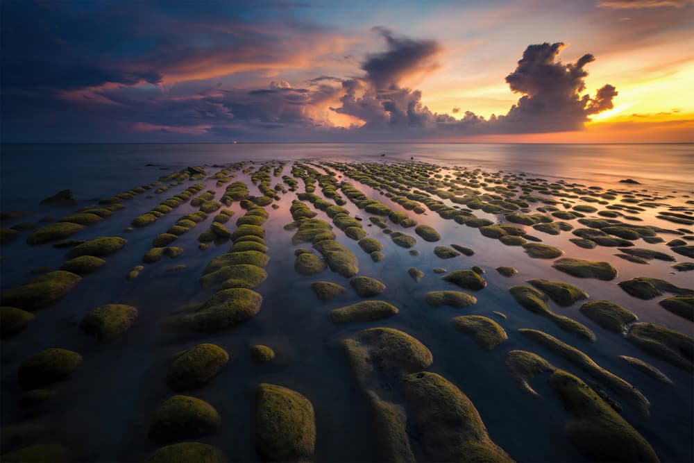 Sunset Over Mossy Beach by Irene Wu — canvas wall art