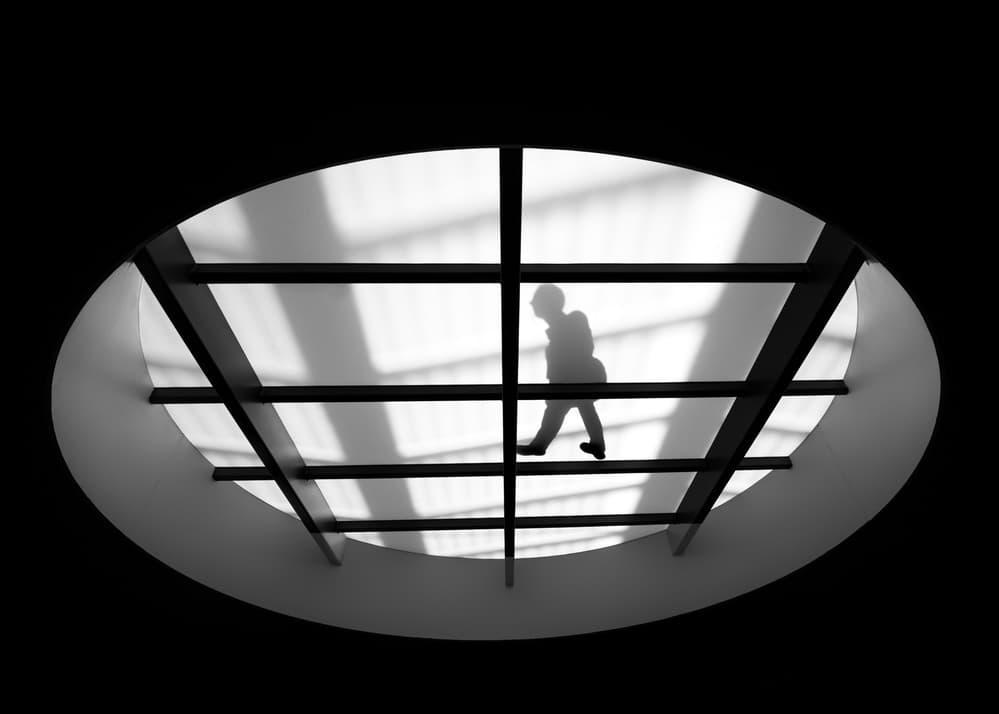Overhead Silhouette Stroll by Christophe Staelens — canvas wall art