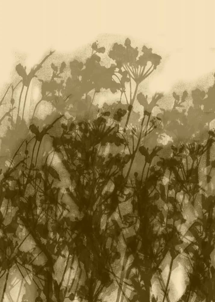 Sepia Botanical Silhouettes by Dina Dankers — canvas wall art