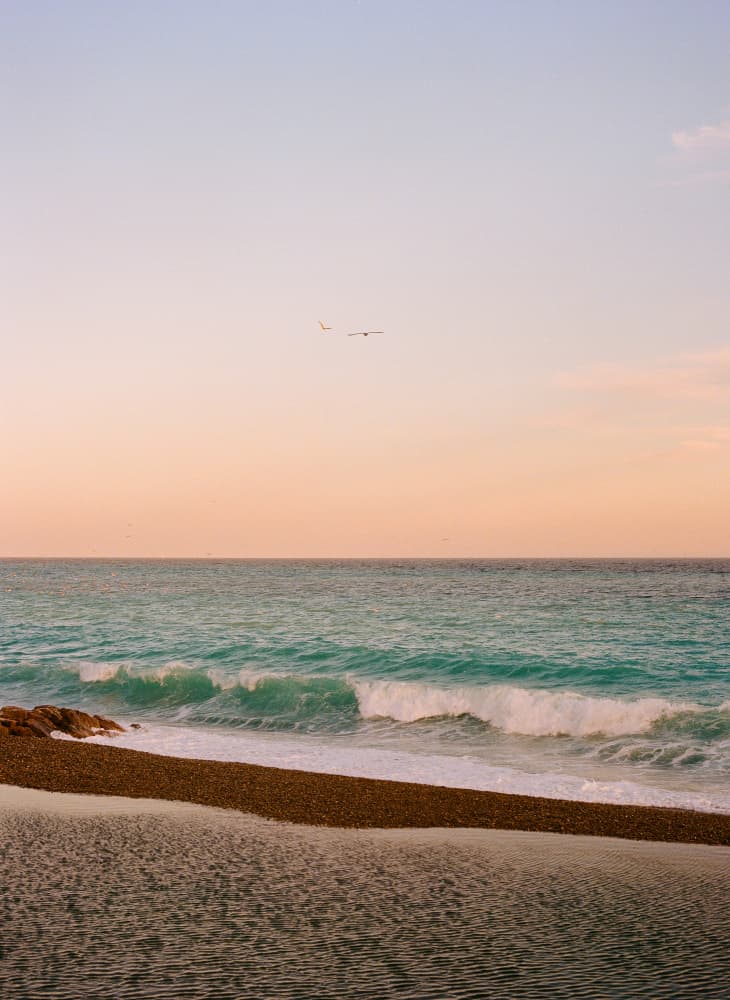 Peaceful Beach Flight by Bethany Young — canvas wall art