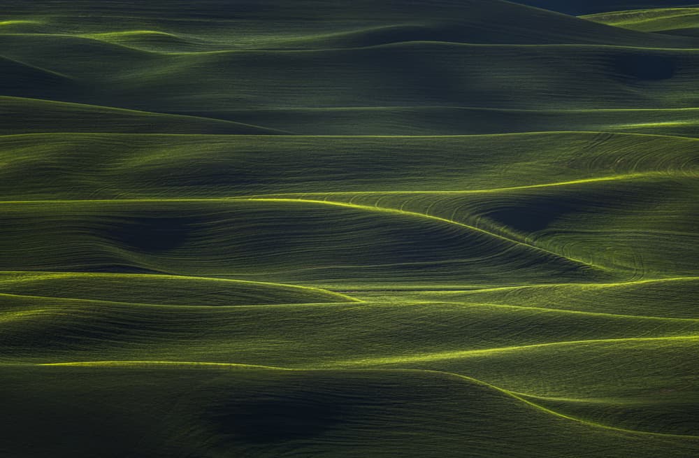 Wavy Land by John-Mei Zhong — canvas wall art