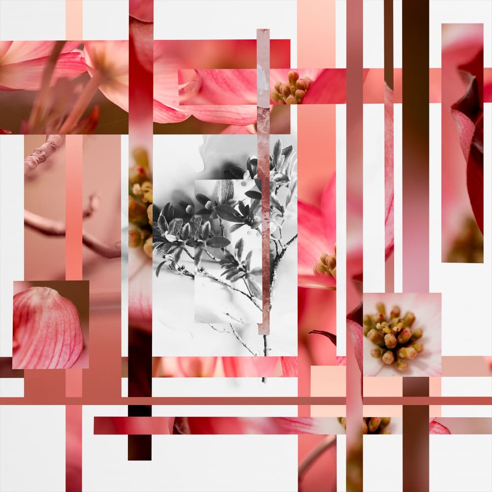 Pink Dogwood Collage by Pelin Atilla — canvas wall art