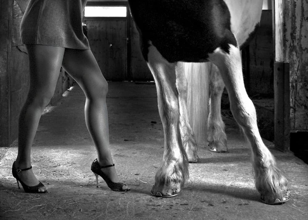 Hooves and Heels by Hans Repelnig — canvas wall art