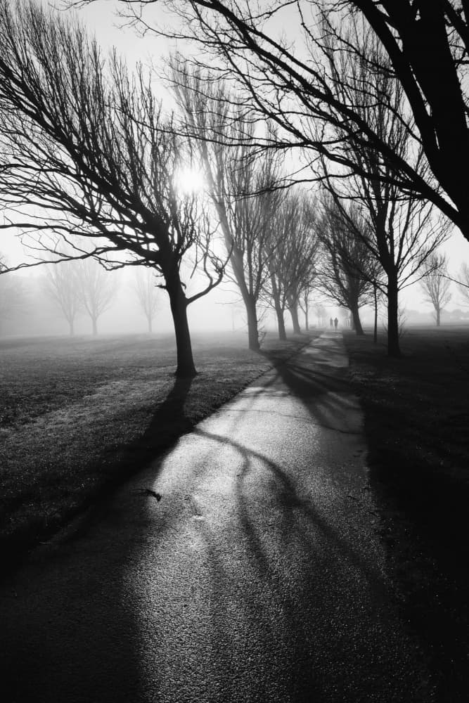 Misty Park Path by Elizabeth Allen — canvas wall art