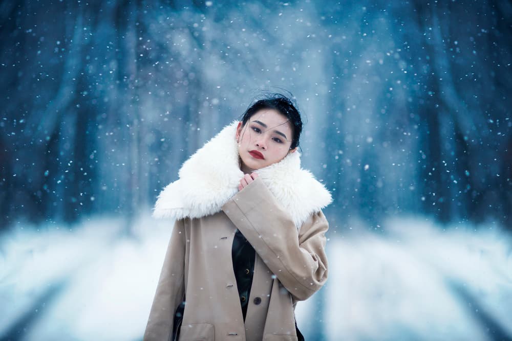 Elegant Woman In Snow by Rob Li — canvas wall art