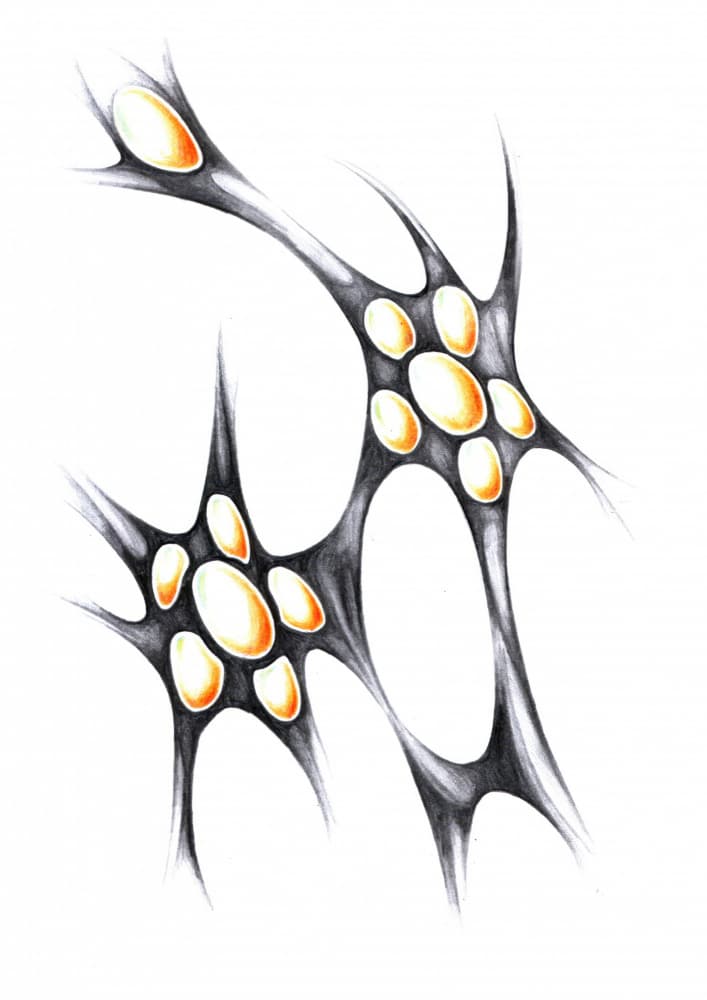 Luminous Organic Forms by Kulik — canvas wall art