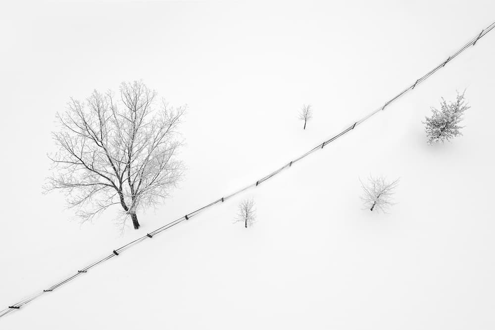 Minimalist Winter Landscape by Mei Xu — canvas wall art