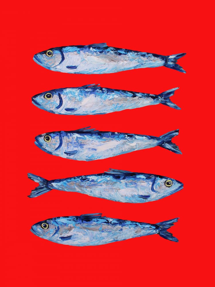 Bold Blue Sardines by Alice Straker — canvas wall art