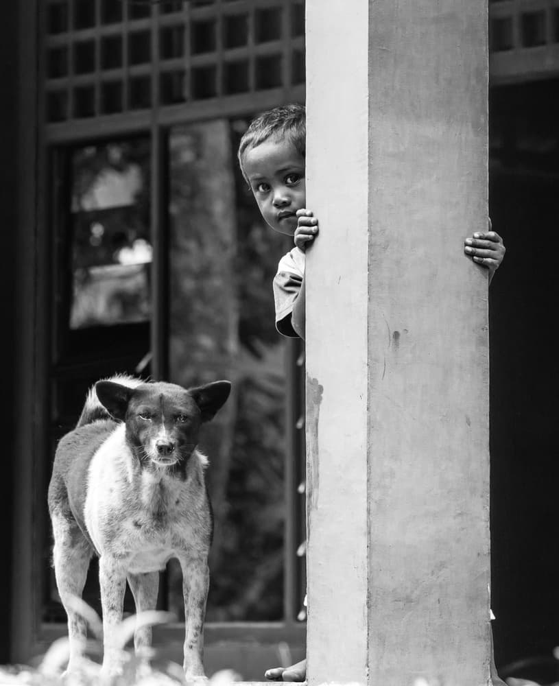 Peeking Boy And Dog by Ugur Erkmen — canvas wall art