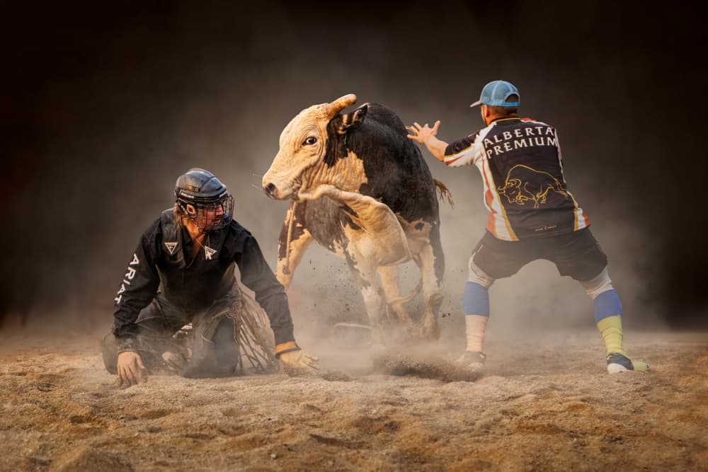 Rodeo Bullfighter Action by Steven Zhou — canvas wall art