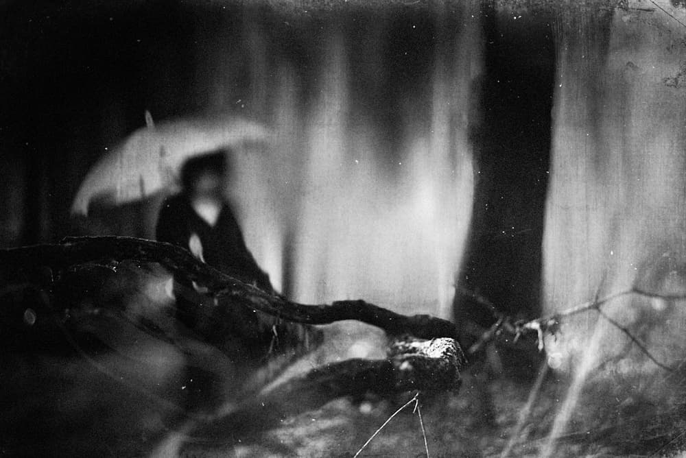 Moody Forest Umbrella by Teruhiko Tsuchida — canvas wall art