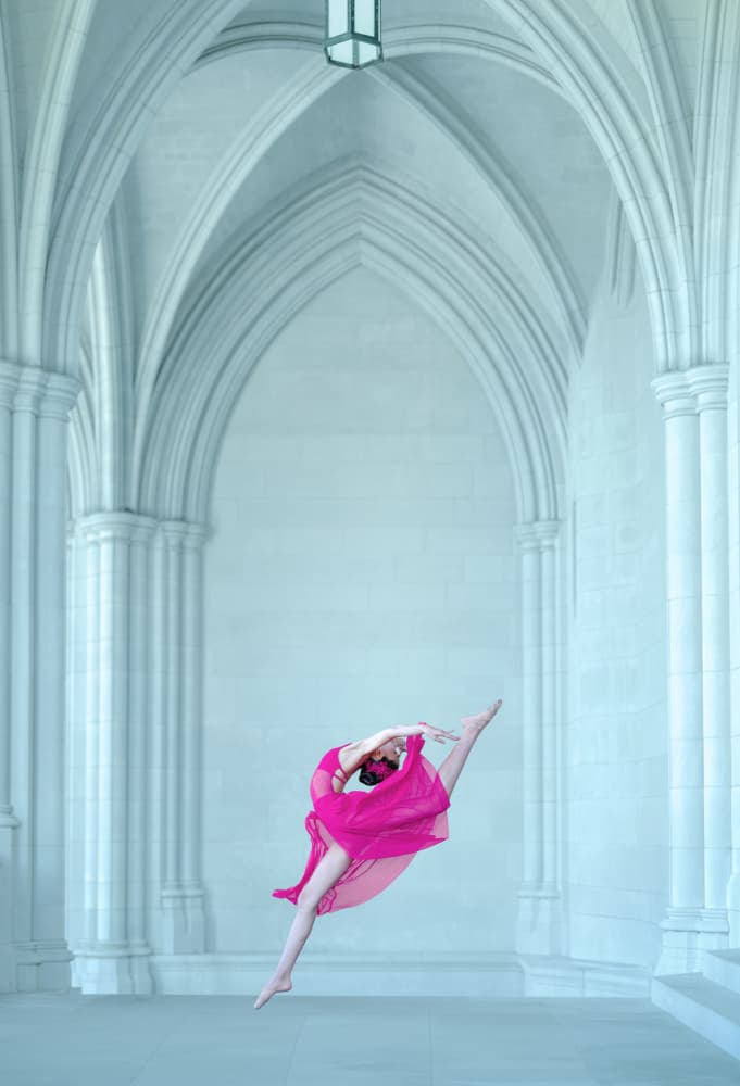 Graceful Dancer Pink Dress by Catherine Wang — canvas wall art