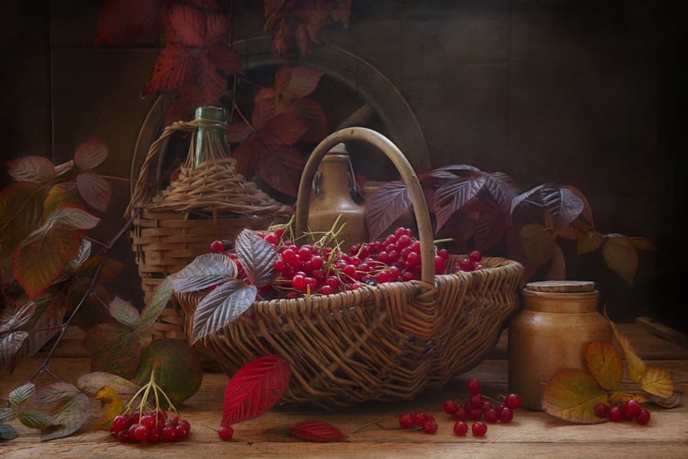 Still life with scarlet viburnum autumn branches and berries in vintage style. by Eleonora Grigorjeva — canvas wall art