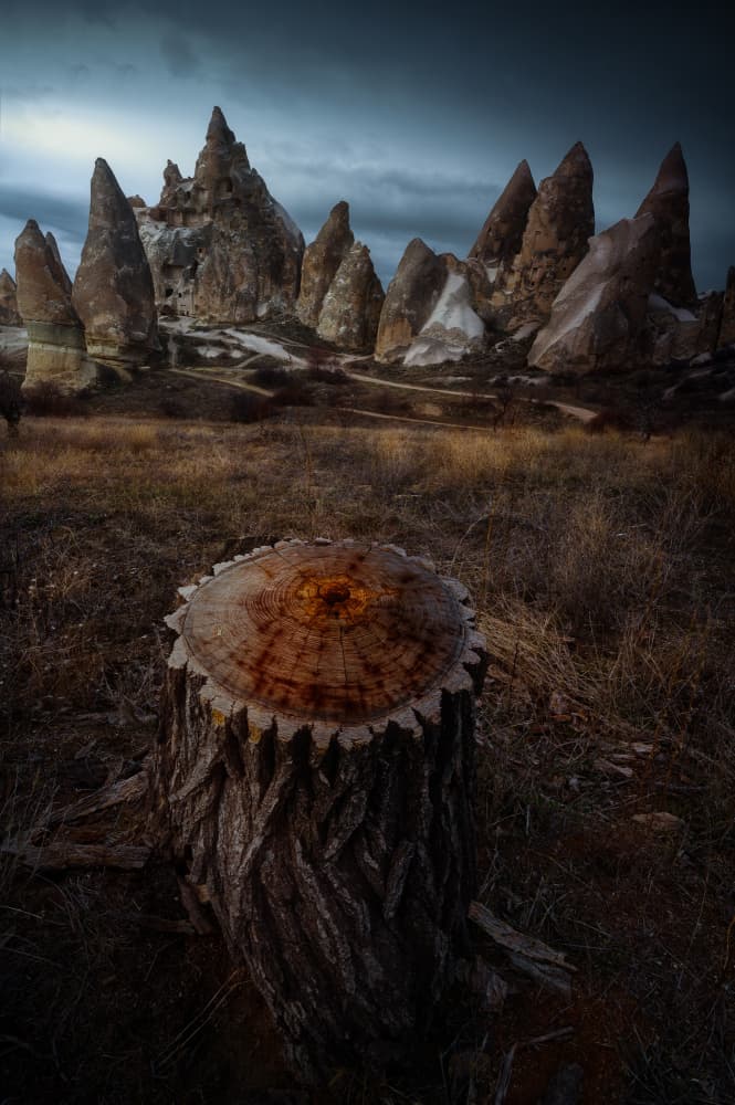 Dramatic Valley Stump by SANDEEP MATHUR — canvas wall art