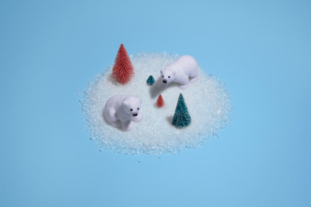 Polar Playtime by Julia Ramiro — canvas wall art