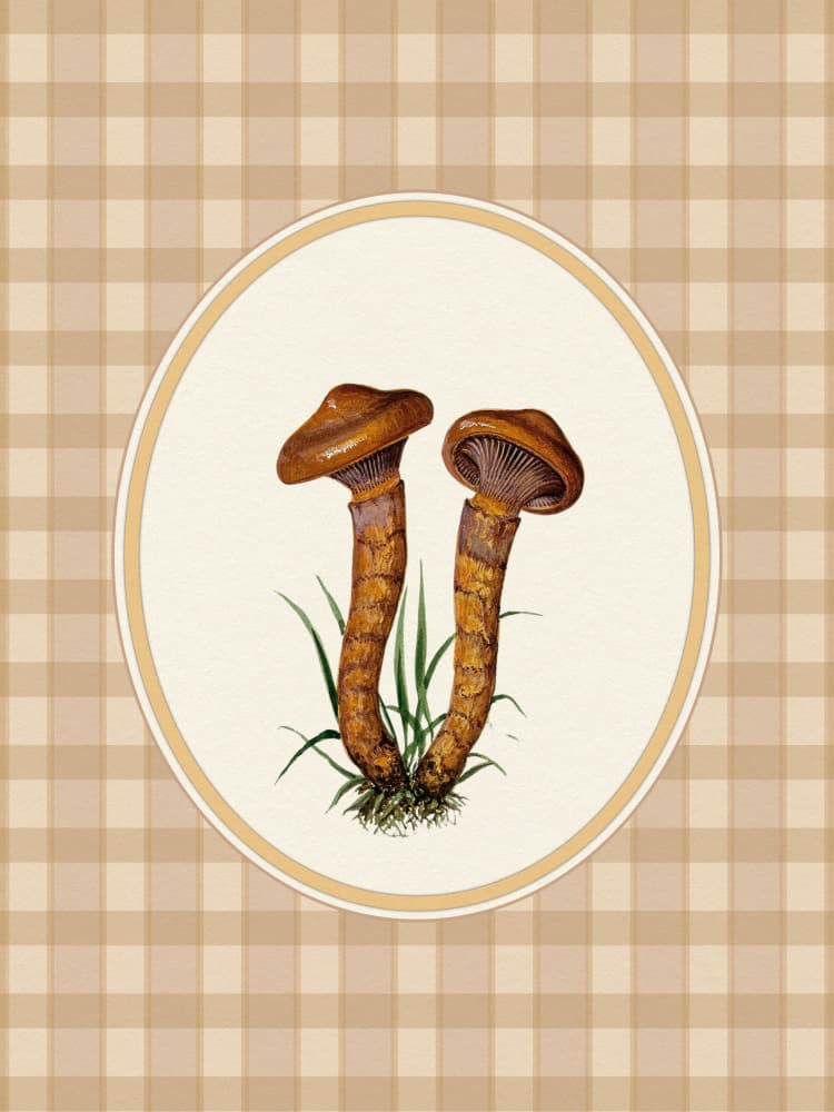 Botanical Mushroom Pair by Wild Violets — canvas wall art
