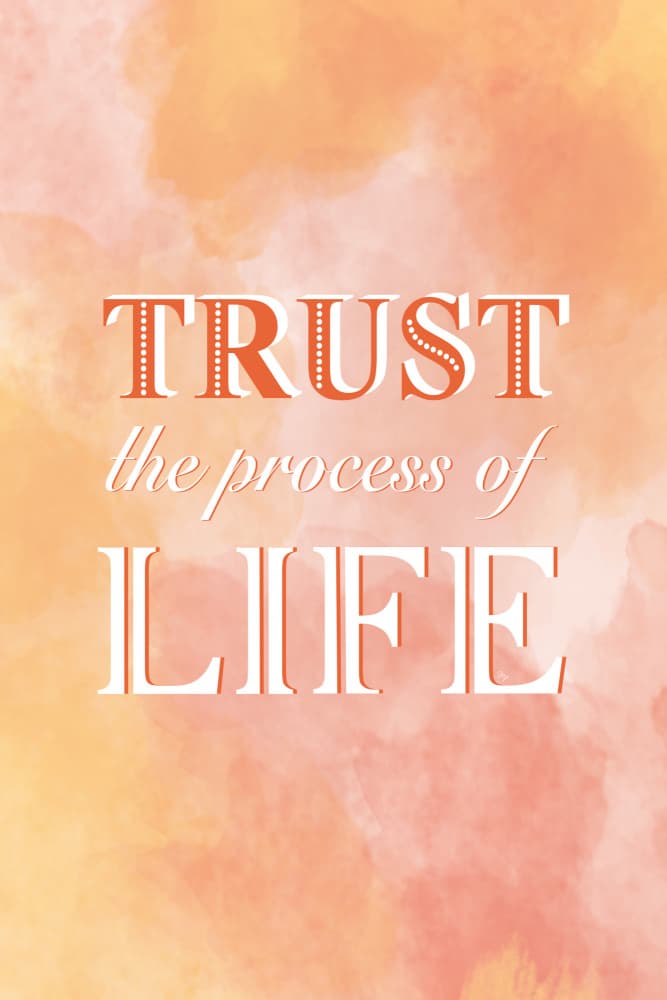 Trust Life's Process by Martina — canvas wall art