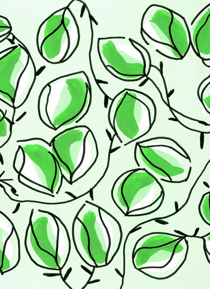Vibrant Green Leaves by Lori Ann Folz — canvas wall art