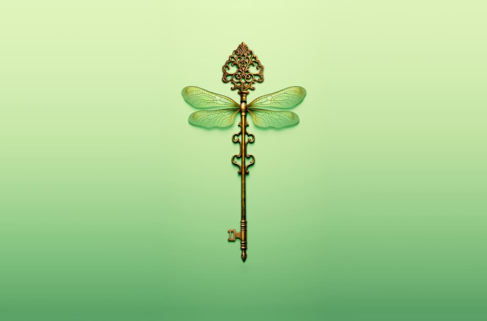 Key Dragonfly by Artem Pozdniakov — canvas wall art