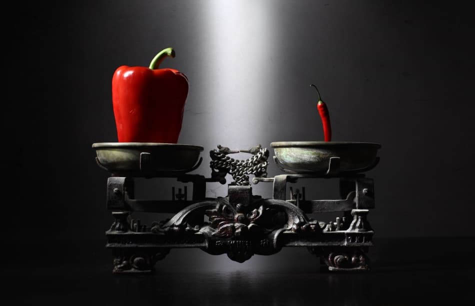 Spicy and Sweet Balance by Victoria Glinka — canvas wall art