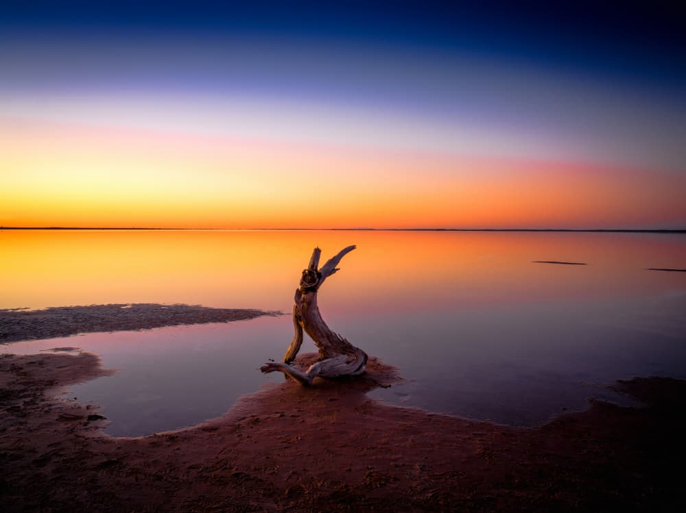 Vibrant Sunset Driftwood by Allan Li wp — canvas wall art