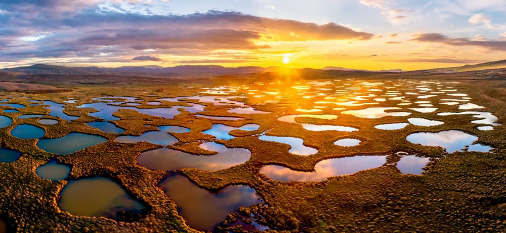 Golden Hour Wetlands by James Bian — canvas wall art