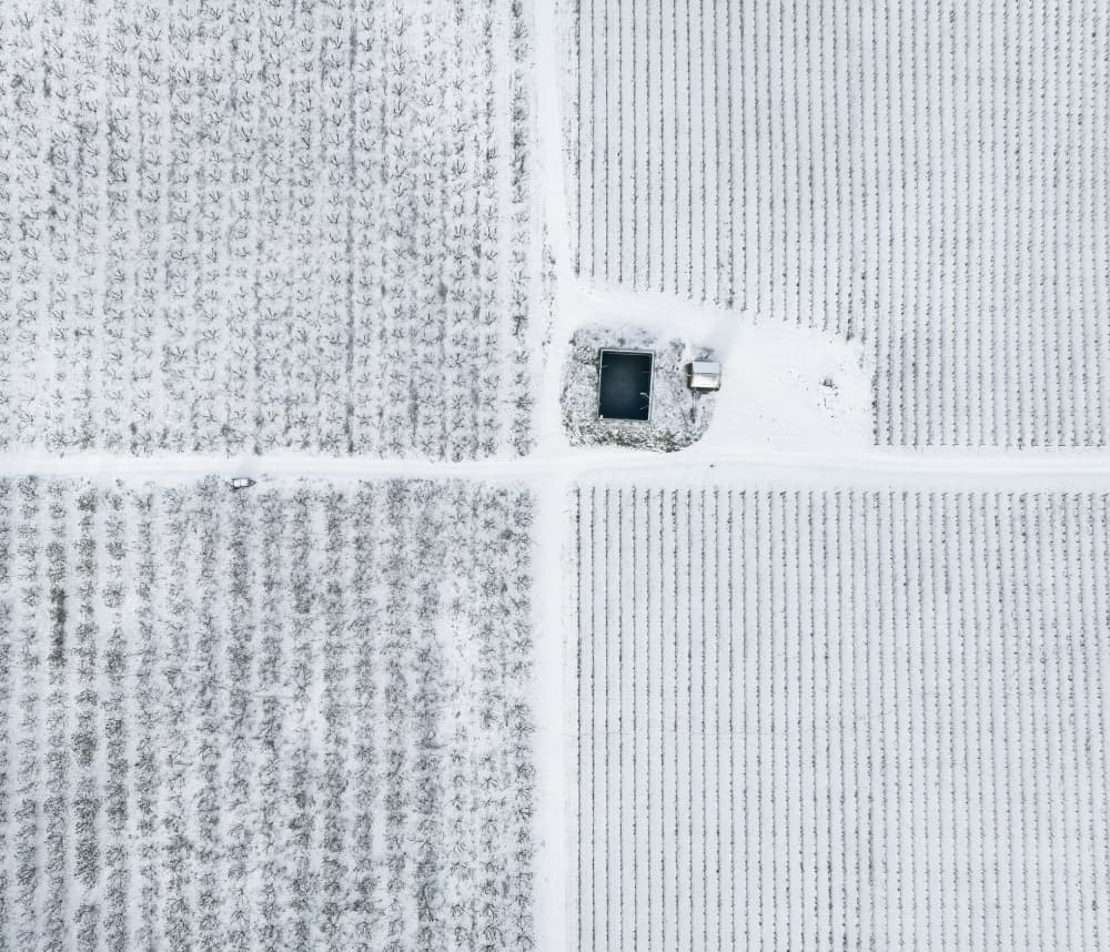 Snowy Farm Aerial View by Shenshen Dou — canvas wall art