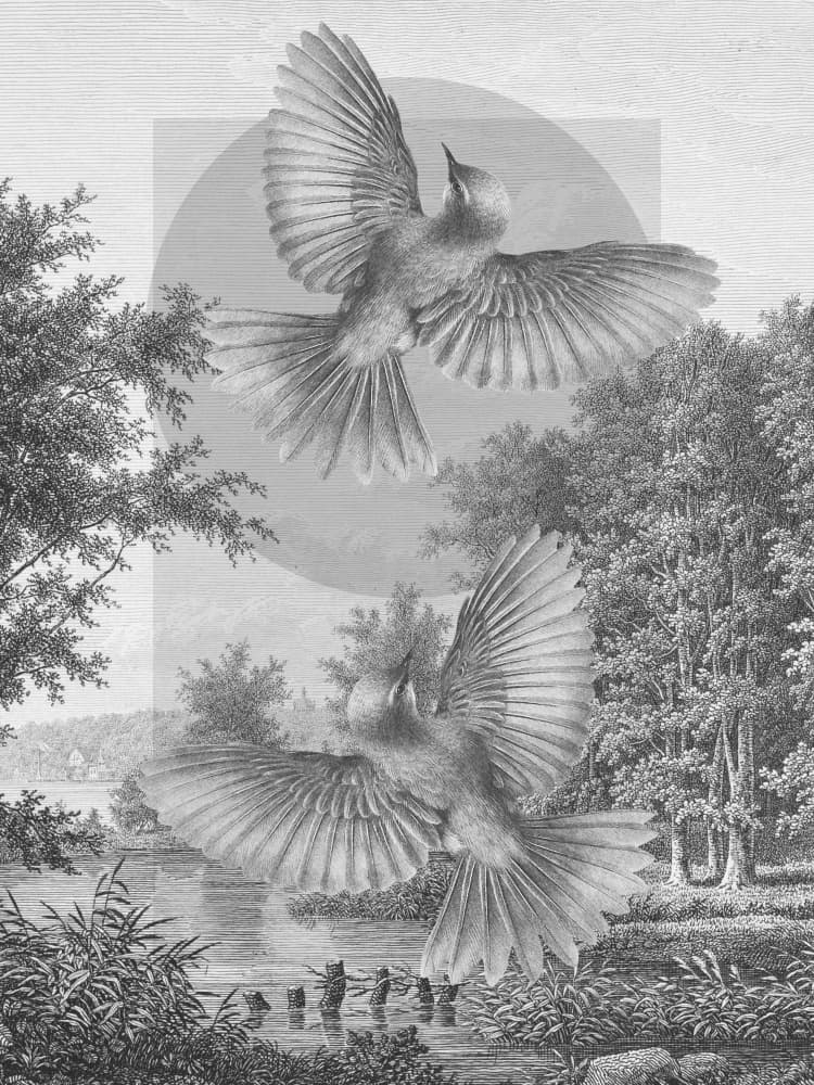 Birds Over Serene Lake by Marja van den Hurk — canvas wall art