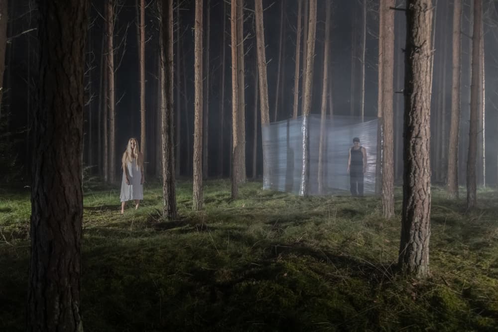 Dark Forest Mystery by Leszek Paradowski — canvas wall art