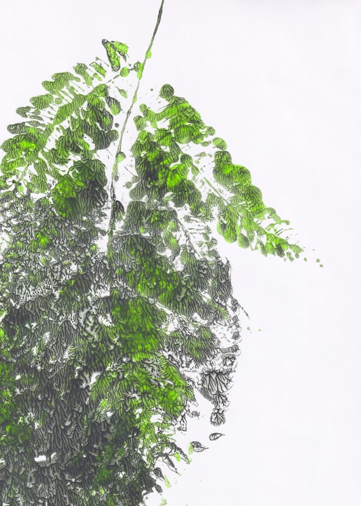 Organic Green Fern by Maira Ribena — canvas wall art