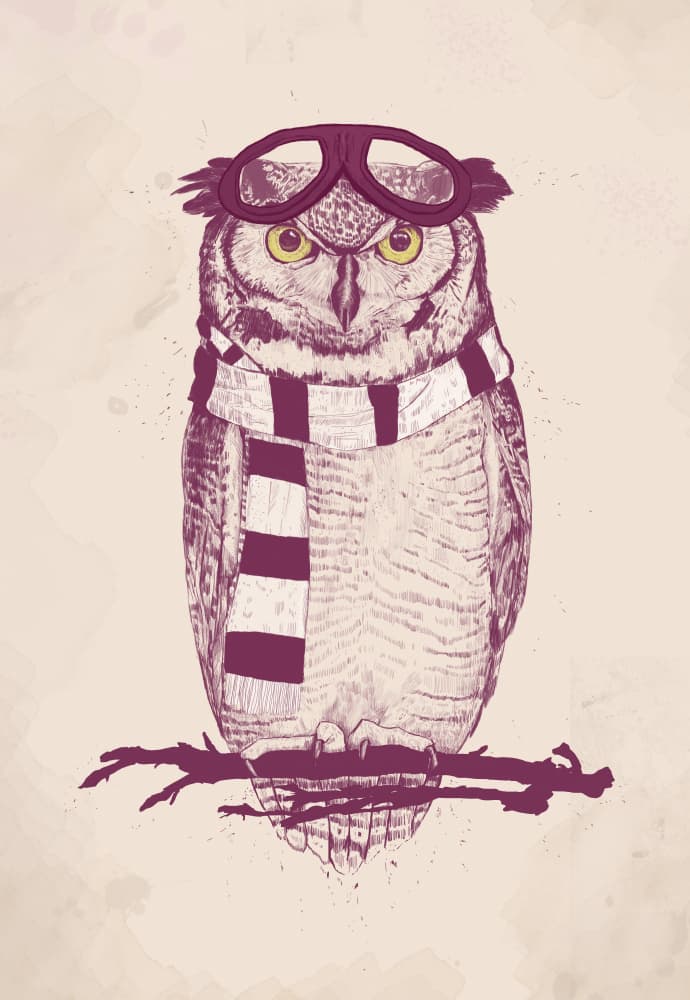 Whimsical Pilot Owl by Balazs Solti — canvas wall art