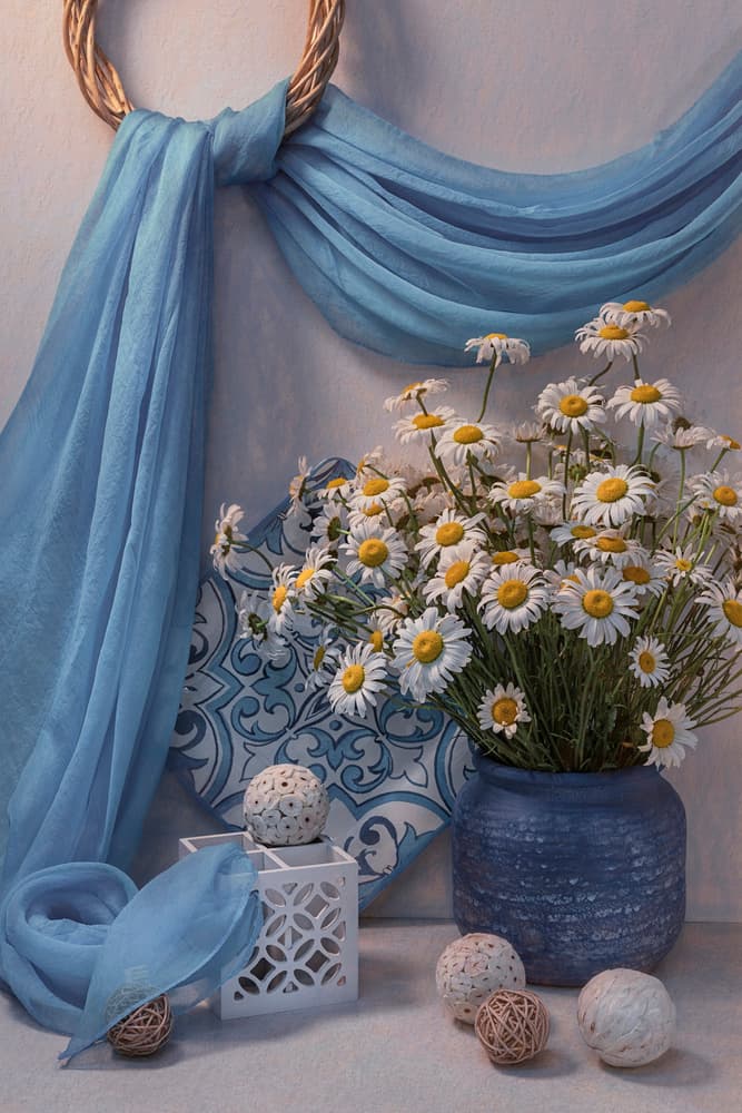 Fresh Blue Daisy Still Life by Lydia Jacobs — canvas wall art